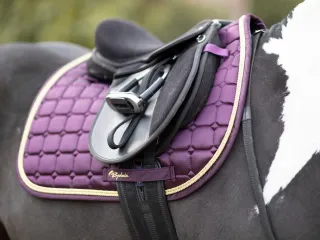 ویسٹرن زین (2/3)