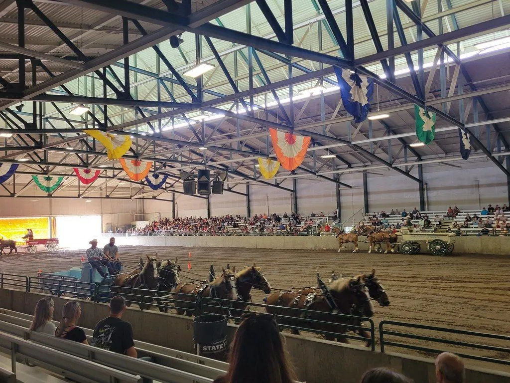 Tent-pegging event coverage (1/3)