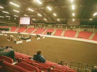 Tent-pegging event coverage (3/3)